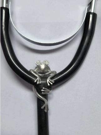 Quinnlyn & Co. Franchesca Frog Stethoscope Charm, Gifts for Women, RN Nurses with Inspirational Quote on Greeting Card