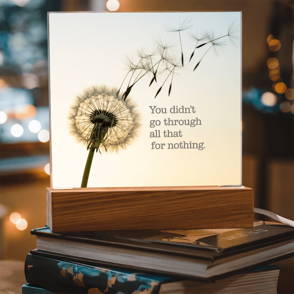 Inspirational Acrylic Plaque “You Didn’t Go Through All of That for Nothing” | Motivational Quote Home Decor Gift