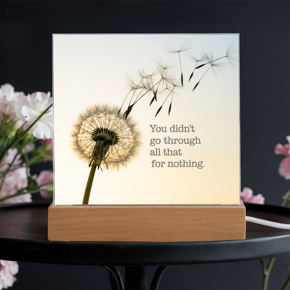 Inspirational Acrylic Plaque “You Didn’t Go Through All of That for Nothing” | Motivational Quote Home Decor Gift
