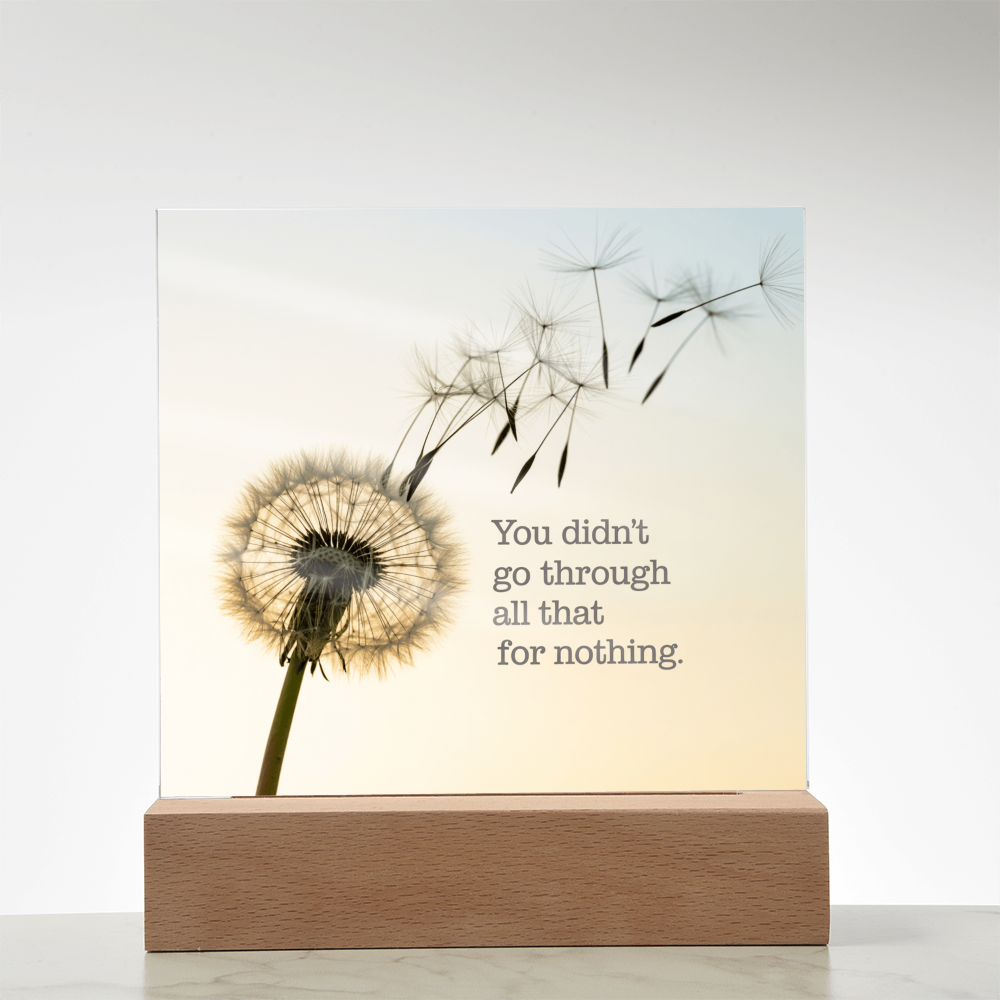 Inspirational Acrylic Plaque “You Didn’t Go Through All of That for Nothing” | Motivational Quote Home Decor Gift