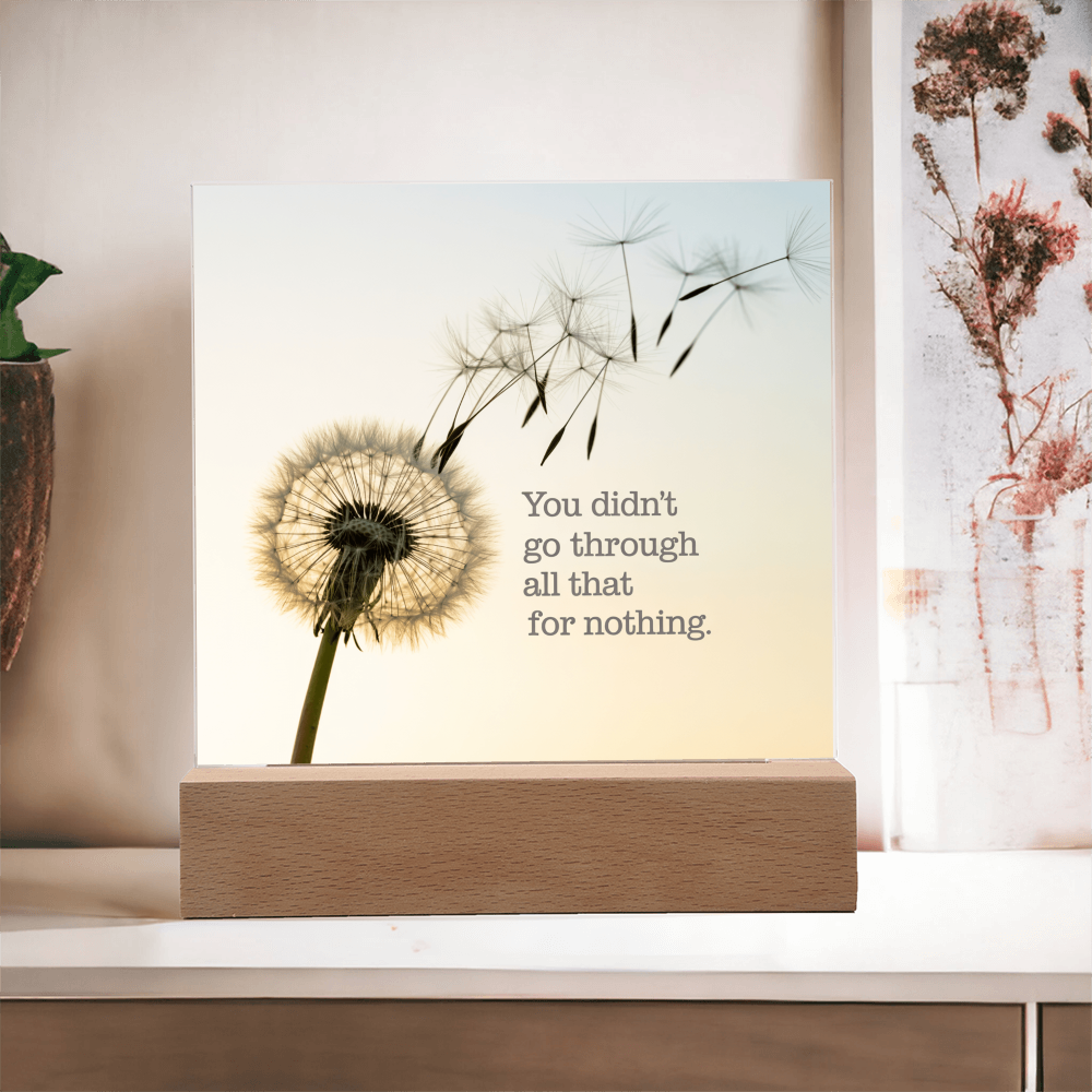 Inspirational Acrylic Plaque “You Didn’t Go Through All of That for Nothing” | Motivational Quote Home Decor Gift