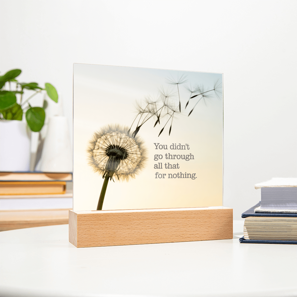 Inspirational Acrylic Plaque “You Didn’t Go Through All of That for Nothing” | Motivational Quote Home Decor Gift