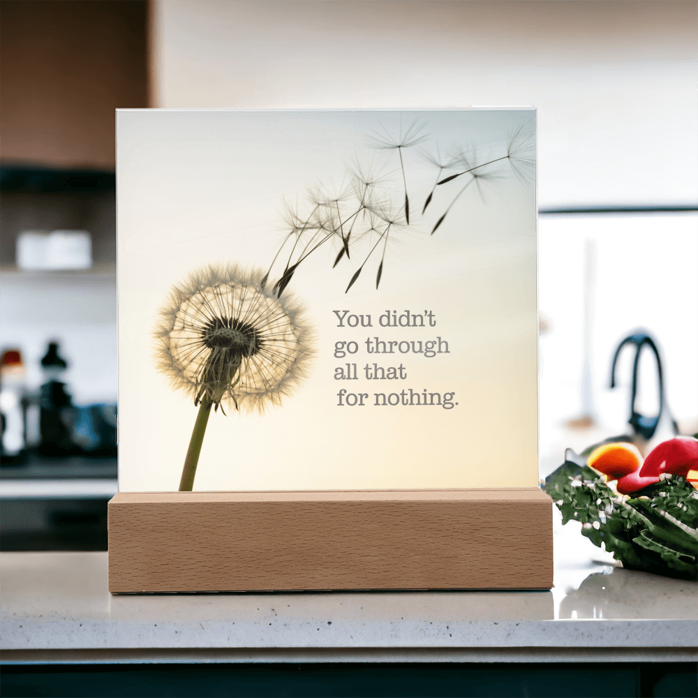 Inspirational Acrylic Plaque “You Didn’t Go Through All of That for Nothing” | Motivational Quote Home Decor Gift