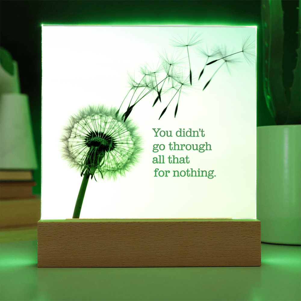 Inspirational Acrylic Plaque “You Didn’t Go Through All of That for Nothing” | Motivational Quote Home Decor Gift