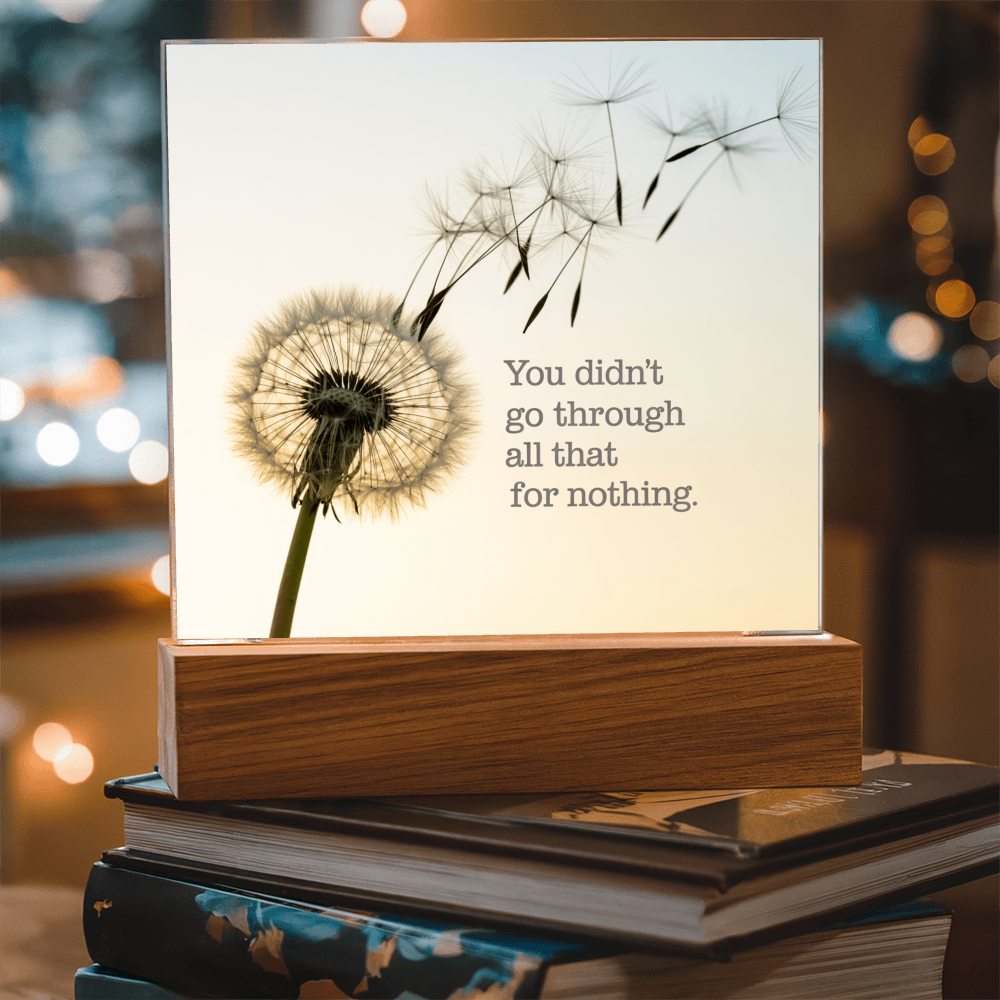Inspirational Acrylic Plaque “You Didn’t Go Through All of That for Nothing” | Motivational Quote Home Decor Gift