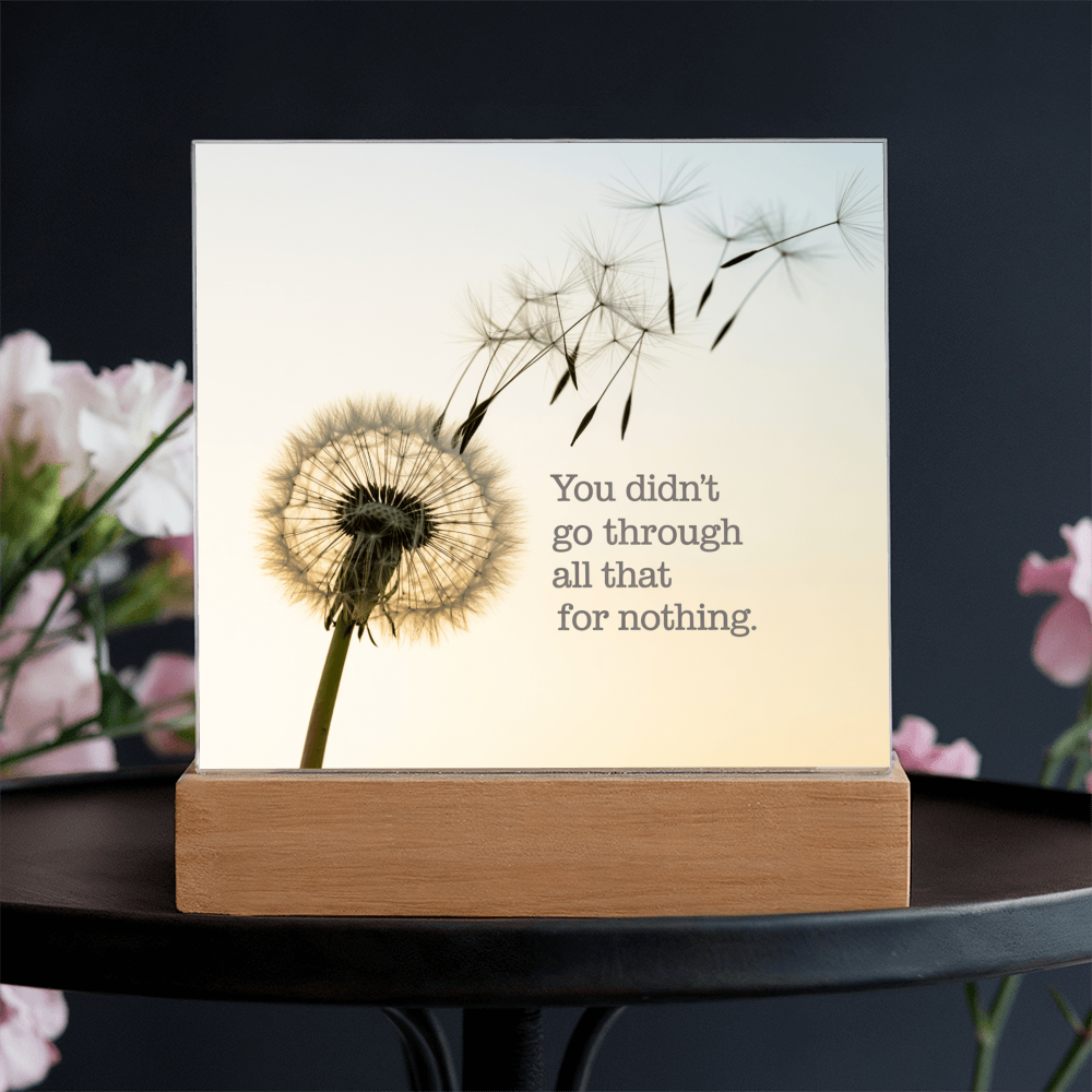 Inspirational Acrylic Plaque “You Didn’t Go Through All of That for Nothing” | Motivational Quote Home Decor Gift
