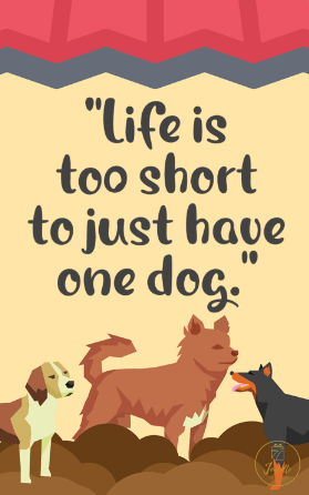 International Dog Day Greeting Card 17