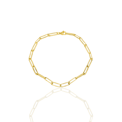 [PRE-ORDER] Birthstone Crystal Necklace by Pranwa, Paper Clip Chain – Monthly Gemstone Jewelry, Personalized Gift for Birthday, Zodiac, Healing Energy