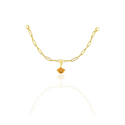 [PRE-ORDER] Chinese Zodiac Charms Collection by Pranwa, Paper Clip Chain –  Discover Your Spirit Animal & Birth Year Meaning