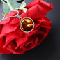 prosperity necklace gift