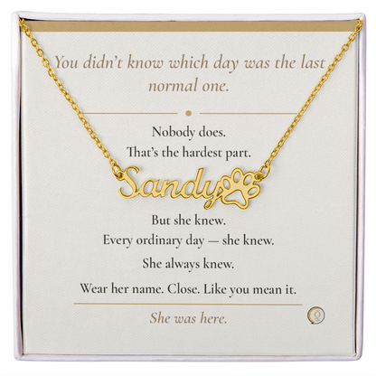 personalized pet memorial necklace with paw print charm