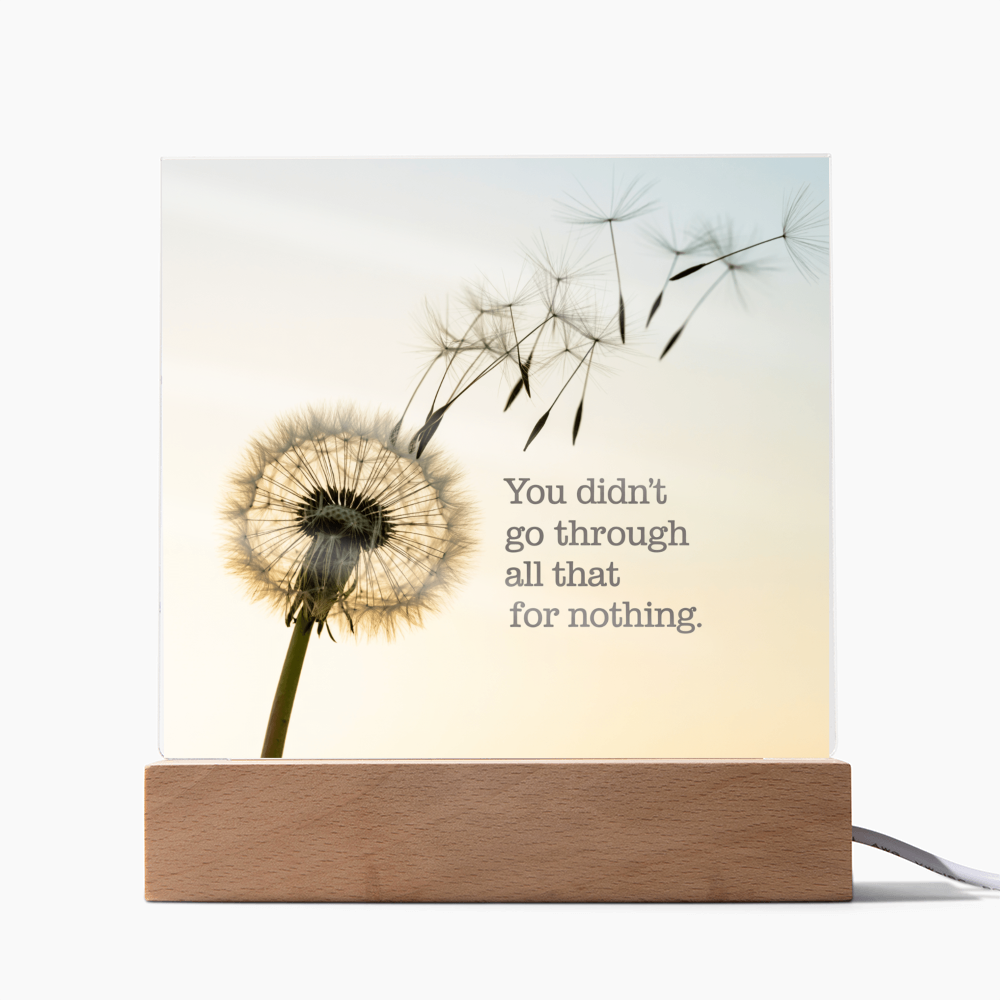 Inspirational Acrylic Plaque “You Didn’t Go Through All of That for Nothing” | Motivational Quote Home Decor Gift