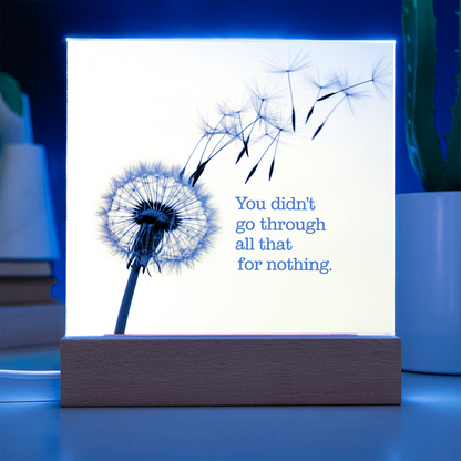 Inspirational Acrylic Plaque “You Didn’t Go Through All of That for Nothing” | Motivational Quote Home Decor Gift