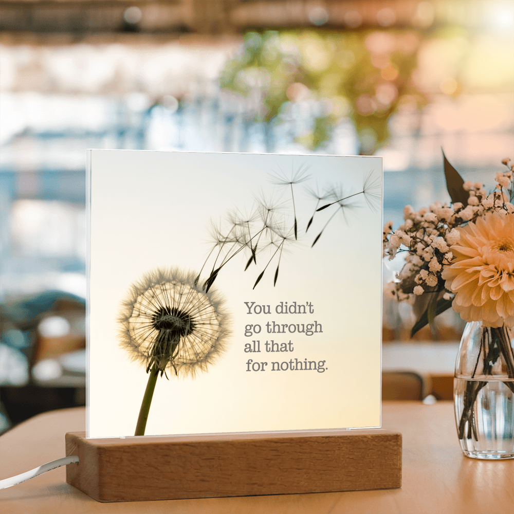 Inspirational Acrylic Plaque “You Didn’t Go Through All of That for Nothing” | Motivational Quote Home Decor Gift