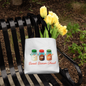 Holiday tote bag featuring sugar cocoa nutmeg jar design