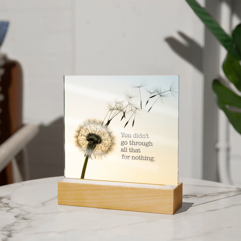 Inspirational Acrylic Plaque “You Didn’t Go Through All of That for Nothing” | Motivational Quote Home Decor Gift