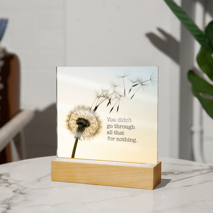 Inspirational Acrylic Plaque “You Didn’t Go Through All of That for Nothing” | Motivational Quote Home Decor Gift
