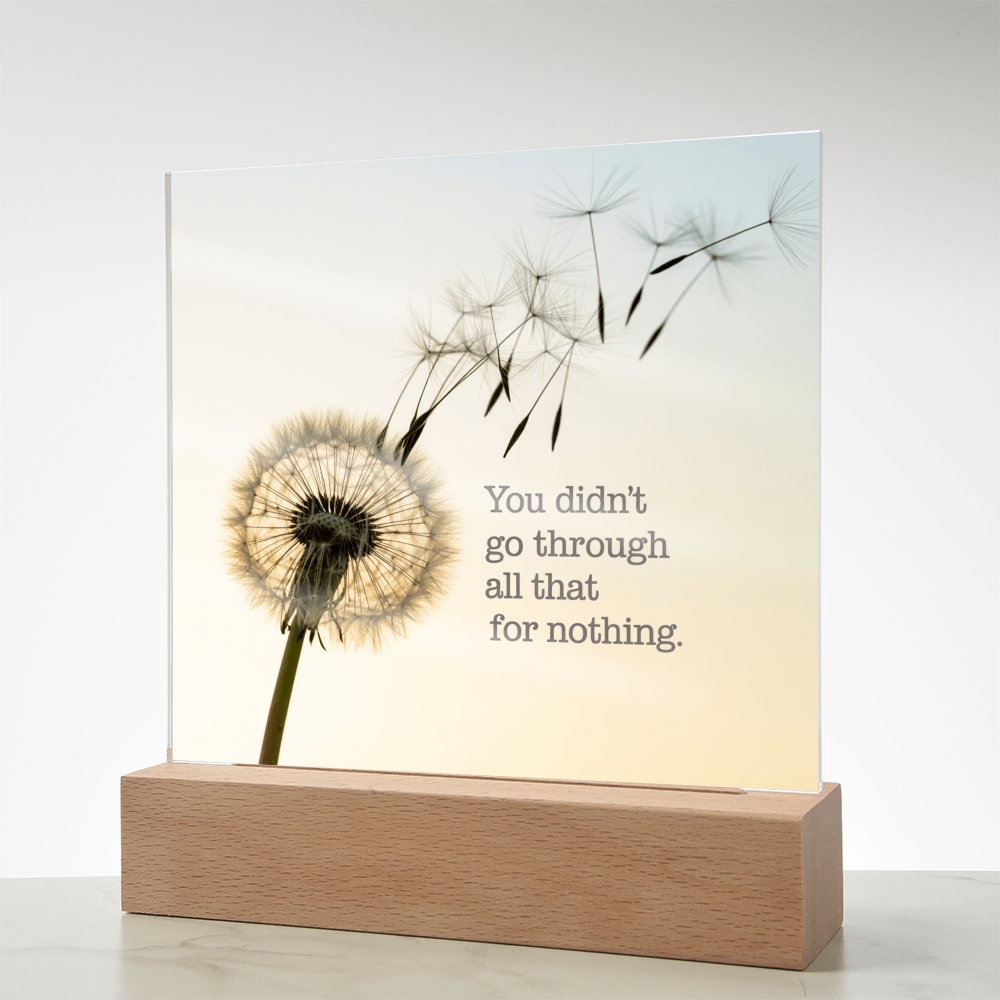 Inspirational Acrylic Plaque “You Didn’t Go Through All of That for Nothing” | Motivational Quote Home Decor Gift