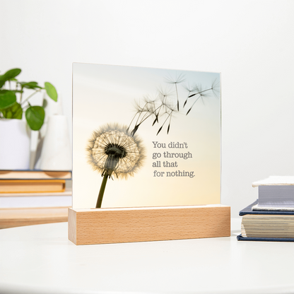 Inspirational Acrylic Plaque “You Didn’t Go Through All of That for Nothing” | Motivational Quote Home Decor Gift