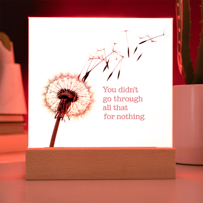 Inspirational Acrylic Plaque “You Didn’t Go Through All of That for Nothing” | Motivational Quote Home Decor Gift