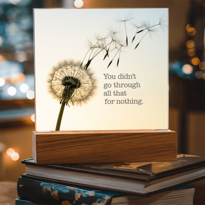 Inspirational Acrylic Plaque “You Didn’t Go Through All of That for Nothing” | Motivational Quote Home Decor Gift
