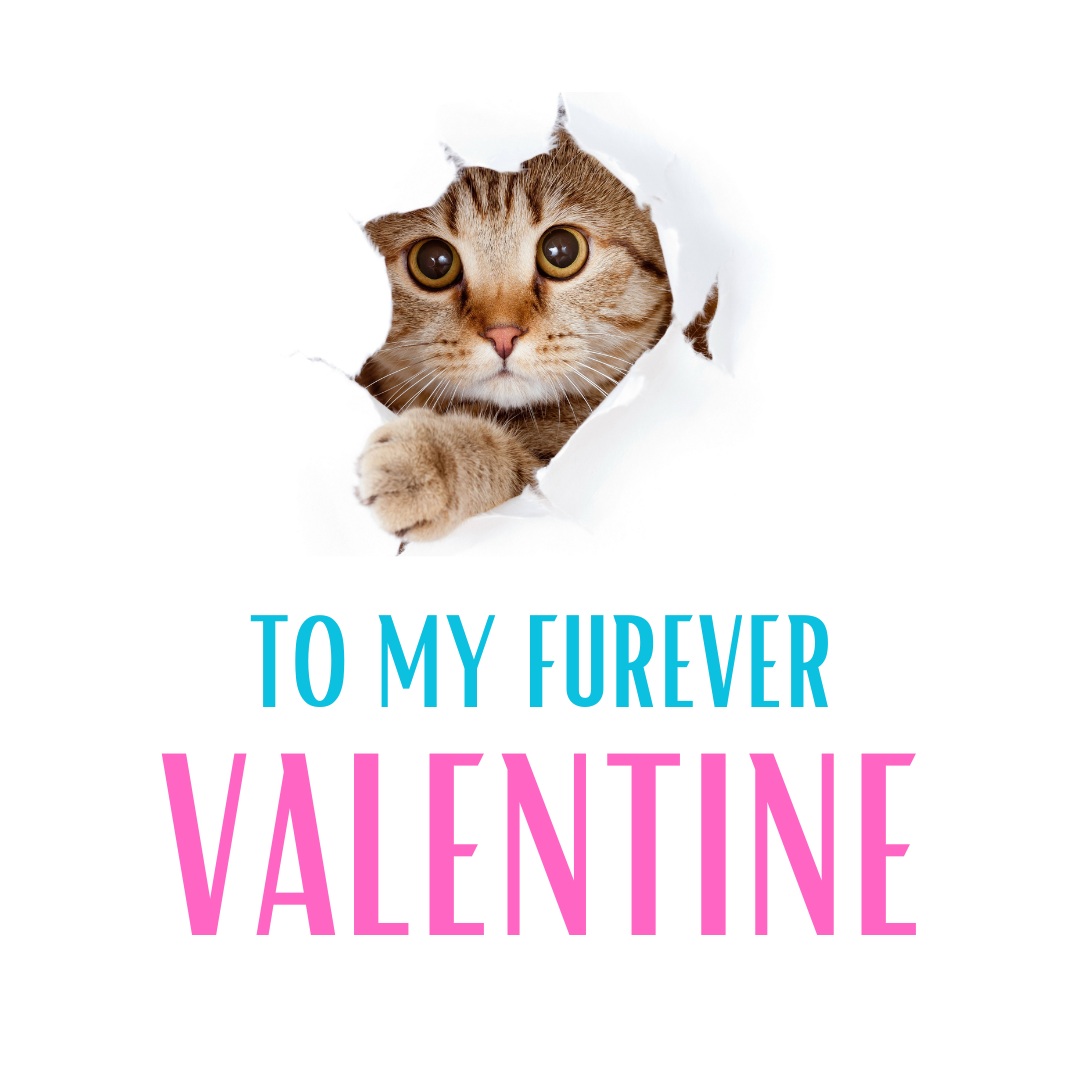 Cat Lover Necklace – Cute Cat Pendant