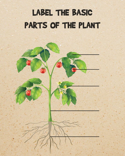 Free Back-To-School Printables Plants Parts Poster for Classroom