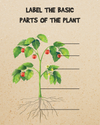 Free Back-To-School Printables Plants Parts Poster for Classroom